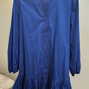 Zara Royal Blue Button-Down Dress